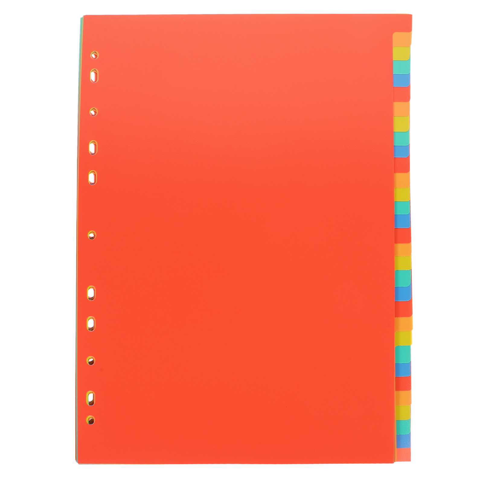 A4 Index Pages Plastic Binder  - Tab Divider A4 reseña y precio
