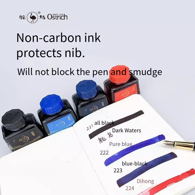 Ostrich 2-Series Fountain Pen  - Fountain Pen Bottled Ink reseña y precio