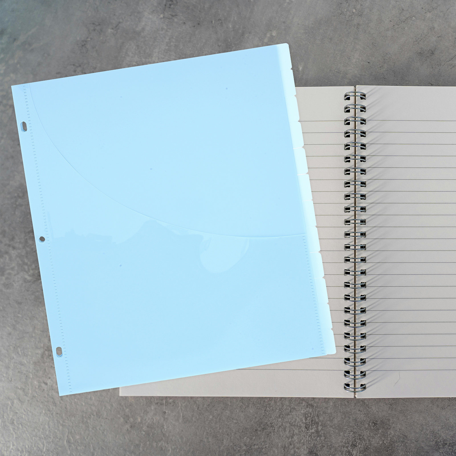 12Pcs Binder Dividers A4 Plast - Tab Divider A4 reseña y precio