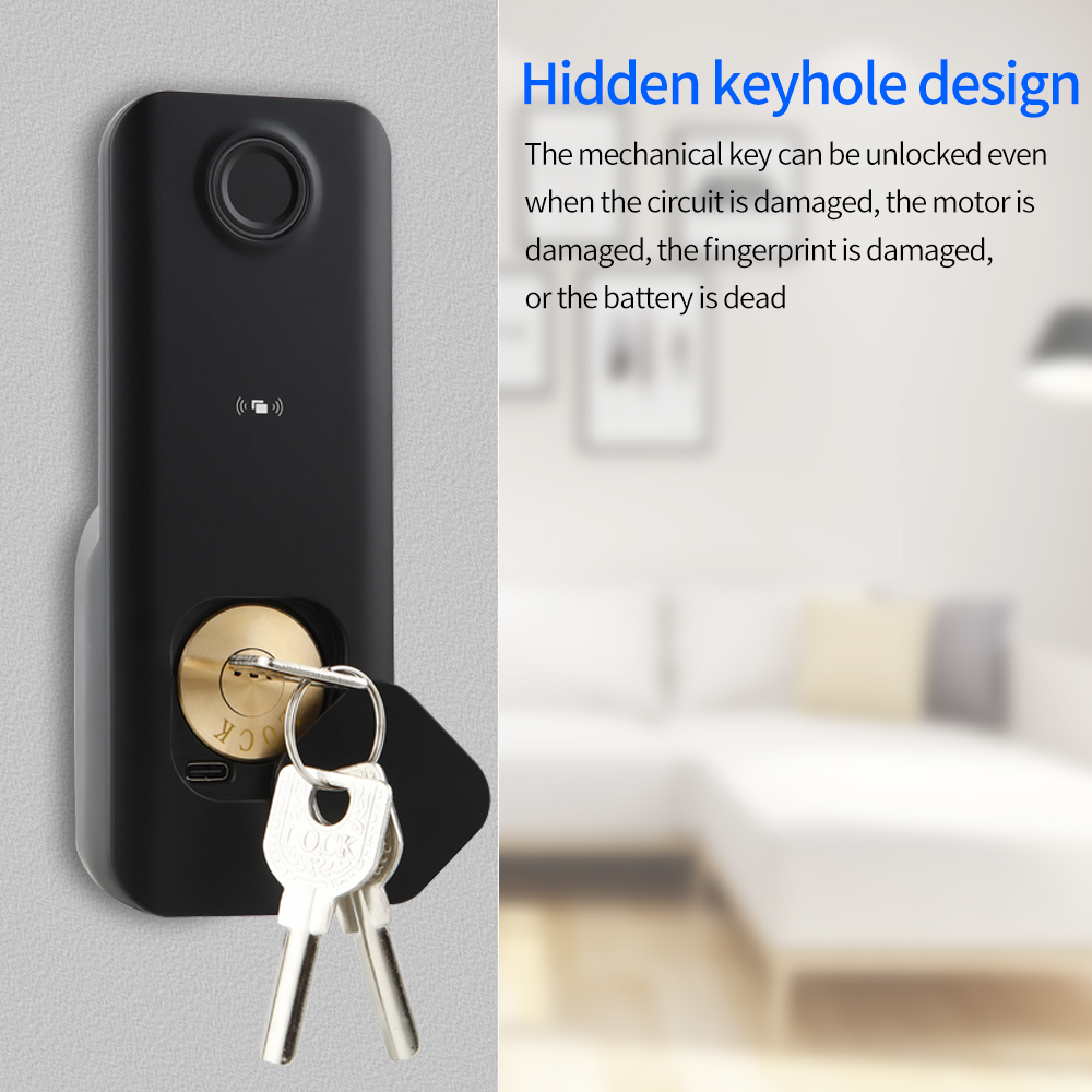 Bluetooth Fingerprint Door Loc - Letter Opener Brass reseña y precio