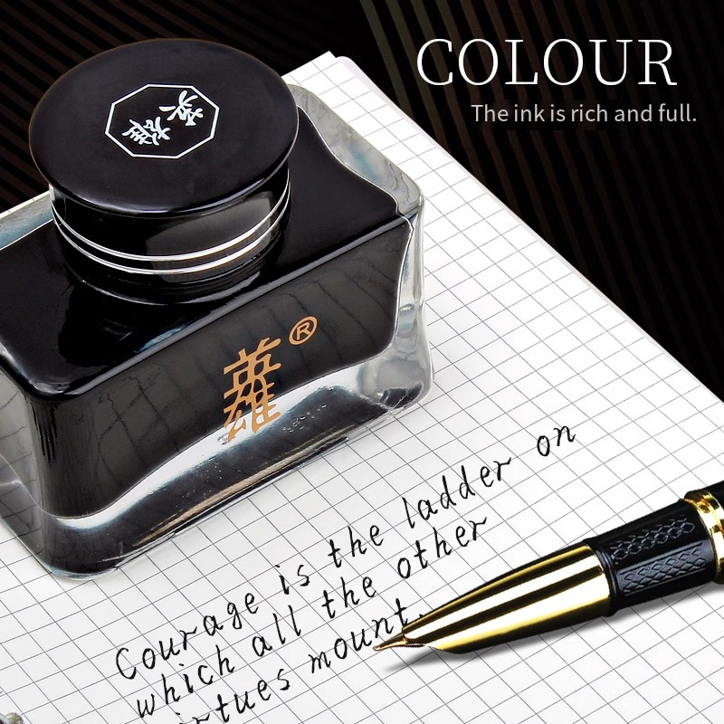 Hero 8806 Black Fountain Pen I - Fountain Pen Bottled Ink reseña y precio