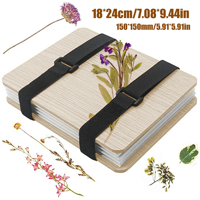 1 Set Plant Specimen Tool Kit  - Ink Blotter Paper reseña y precio