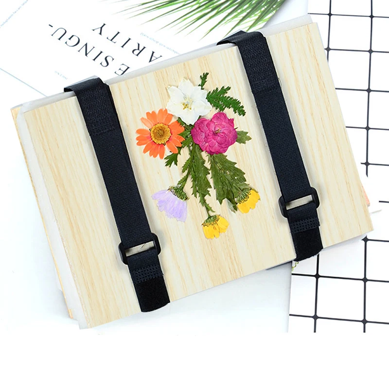 1 Set Plant Specimen Tool Kit  - Ink Blotter Paper reseña y precio