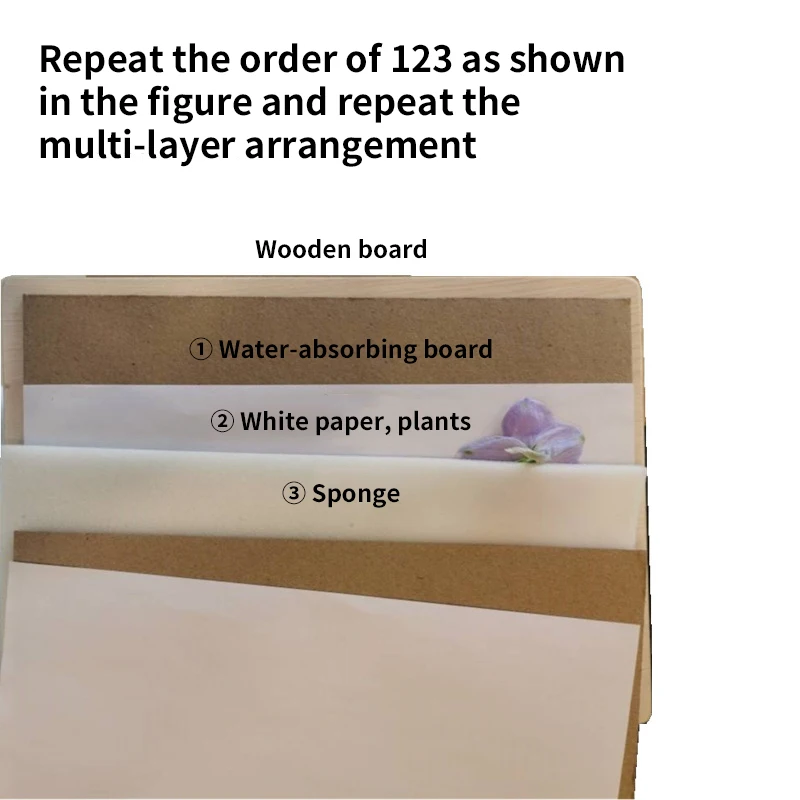 1 Set Plant Specimen Tool Kit  - Ink Blotter Paper reseña y precio