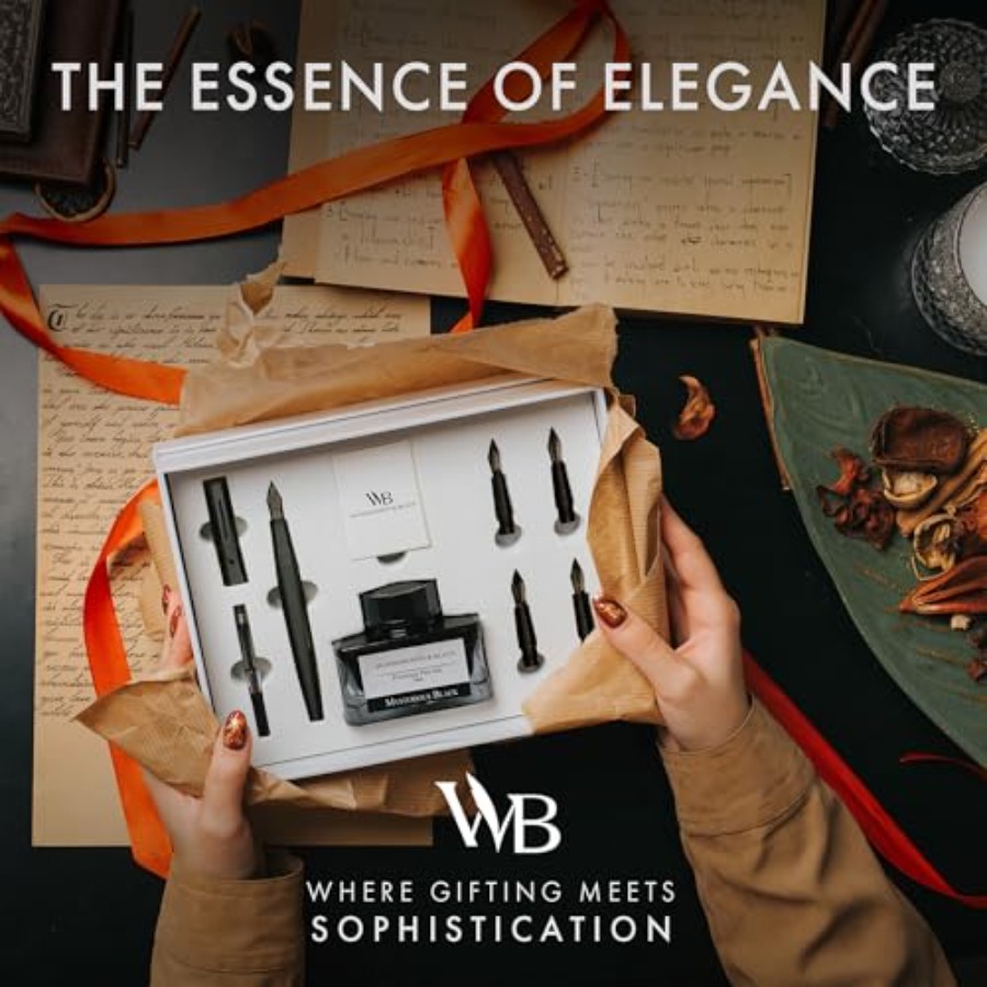 Fountain Pen Gift Set, Include - Fountain Pen Bottled Ink reseña y precio