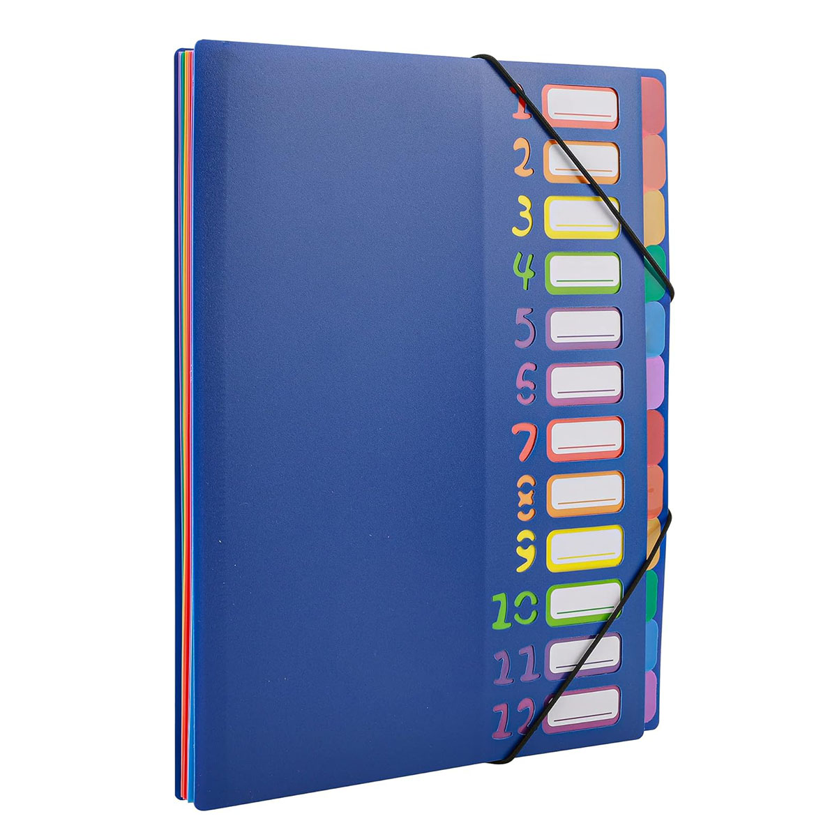 A4 Size Rainbow Tab Expanding  - Tab Divider A4 reseña y precio