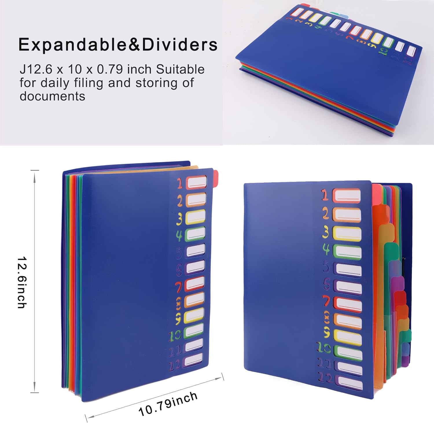A4 Size Rainbow Tab Expanding  - Tab Divider A4 reseña y precio